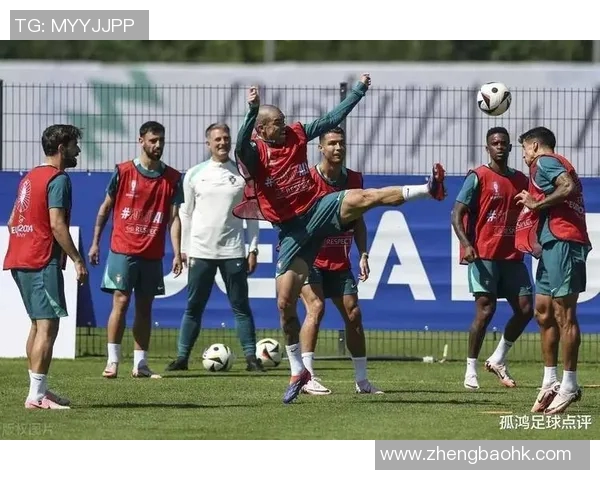 2012欧洲杯经典对决回顾葡萄牙与西班牙激战录像重温 2012欧洲杯经典对决回顾葡萄牙与西班牙激战录像重温